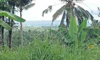 tanah kebun view gunung dan lembah dekat bali eco stay