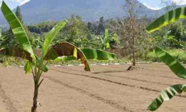tanah kebun view gunung di baturiti dekat bedugul bali