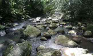 Tanah Kebun View Sungai di Wanagiri Tabanan Bali