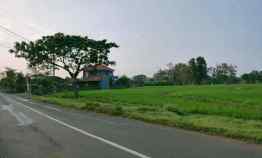 tanah kedawung sragen