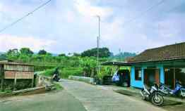 tanah kemuning ngargoyoso