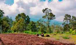 Tanah Pekarangan Kemuning Karanganyar