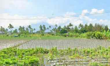 tanah komersial strategis di jl raya cipanas garut