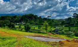 Tanah Kontur Murah SHM di Cisarua Puncak Bogor