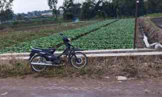 Tanah Kota Wisata Batu Madewo Apples