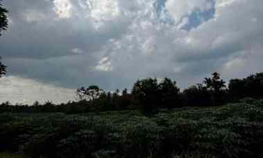 Tanah Dijual di jalan pancur batu kuta