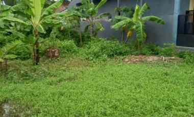 Tanah Dijual di Pasinan Lemah Putih Wringinanom