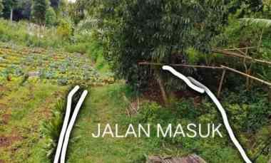 Tanah Lembang Bandung Bisa untuk Villa, Perkebunan