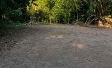 Tanah Luas 1.505 M di Bantul, Harga Rp510 juta