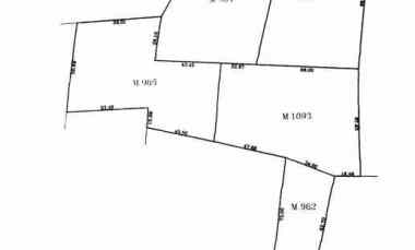 Tanah Luas, Cocok untuk Usaha di Rogojampi