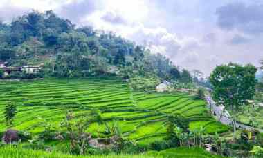 Tanah Murah 3000m 200rb/m Ngargoyoso, Solo