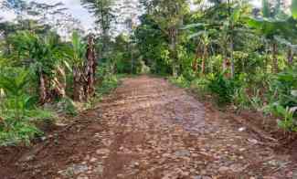 tanah murah 99 juta dekat candi cetho kemuning