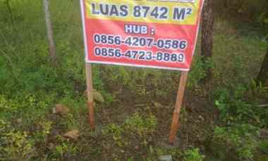 Tanah Murah Ada Pohon Jati