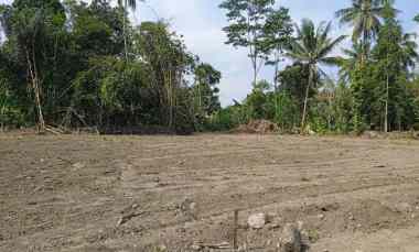 Tanah Murah Area Tempel Sleman dekat Jalan Magelang