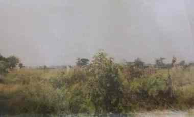 Tanah Murah Bekas Kolam