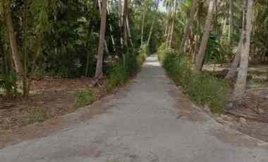 Tanah Murah Carikan Bumirejo Kulonprogo