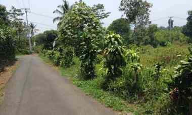 tanah murah ciater subang