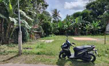 Tanah Murah Cocok untuk Kavlingan di Margoagung Sleman