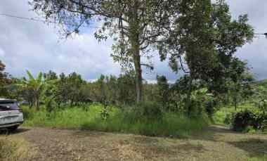 Tanah Murah dan Strategis di Binangun Bumiaji Batu