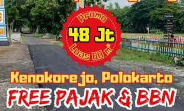 Tanah Dijual di Kenokorejo Polokarto