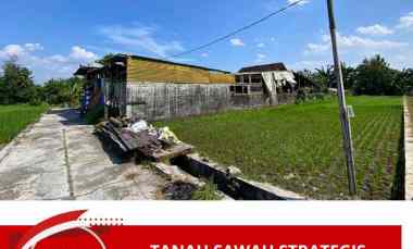 Tanah Murah dekat Ringin Purwomartani