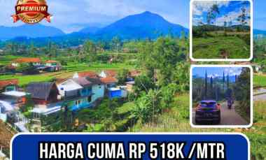 tanah murah di ciwidey cocok untuk villa dan glamping