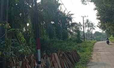 Tanah Dijual di Blok Cijambu Kp Malang sari Des Cikiruhwetan kec cikeusik