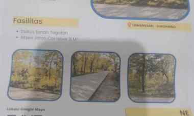 Tanah Murah Pedesaan Banyak Pohon Jati