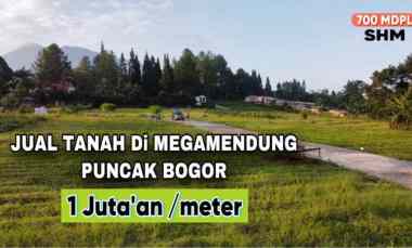 tanah murah puncak megamendung bogor