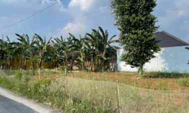 tanah murah rajabasa bandar lampung
