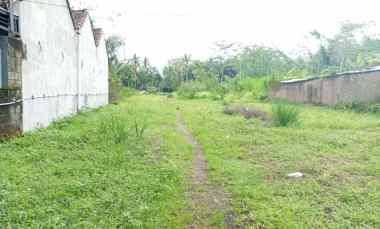 Tanah Murah Utara Polsek Tempel Sleman Yogyakarta