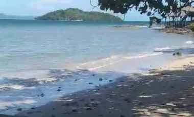 Tanah Pantai Mutun di Lampung Luas 11.117m 1,1 Hektar