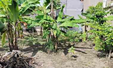 Tanah Dijual di Jl Perum Gambiran Yogyakarta