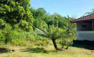 tanah perbukitan indah tulungagung