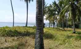 tanah pinggir pantai tanjung lombok utara