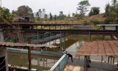 tanah plus kolam ikan plus rumah plus kebun