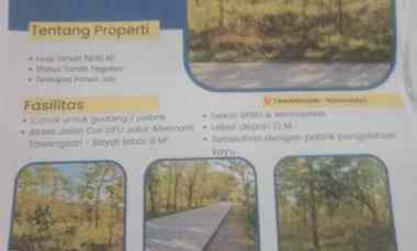 Tanah Pohon Jati Istimewa