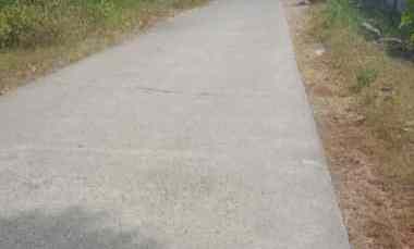 Tanah Pohon Jati Murah