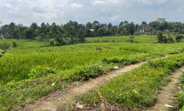 Tanah Dijual di Karangpandan, Karanganyar