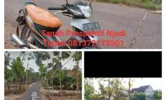 tanah prospektif njadi tuban