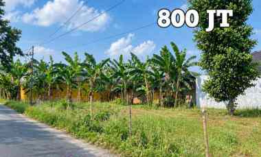 Tanah Rajabasa Bandar Lampung