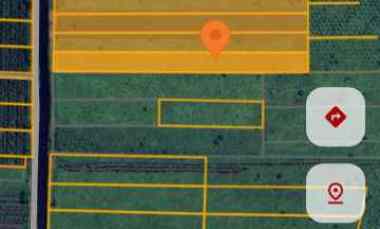 Tanah Rasau Jaya. Luas 12 Hektar. Harga 960 jt Nego