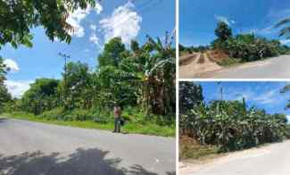 Tanah Sangat Luas Murah di Aimas Kabupaten Sorong