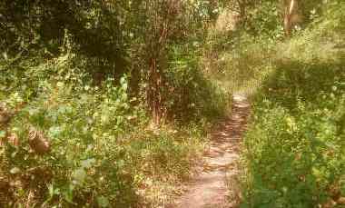 tanah sawah bisa buat bangunan