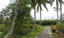 Tanah Sawah di Sukodono Donokerto Turi Sleman