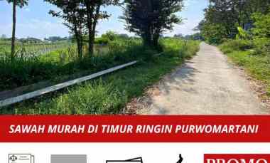 Tanah Sawah Murah di Kalasan dekat Ringin Purwomartani