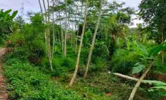 Tanah Sawah Murah Dibawah NJOP Gunungpati