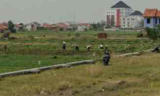 tanah sawah pinggir jalan zona ramai strategis