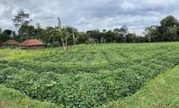 Tanah/Sawah Produktif di Kaki Gunung Ciremai