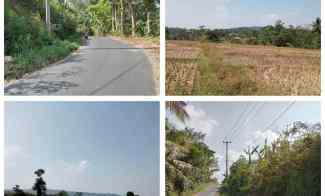 Tanah Sawah Produktif, Sagalaherang Subang Jawa Barat